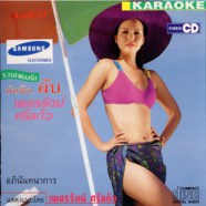 เพชรรัตน์ ศรีแก้ว - รวมเพลงรัก บันทึกลับ VCD1028-web